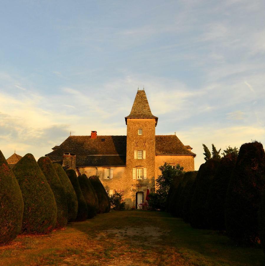 Villa Domaine De Marsaguettes Morlhon-le-Haut Esterno foto